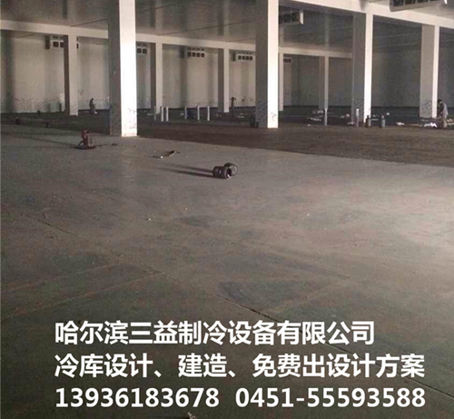 上海DHL物流园冷库项目