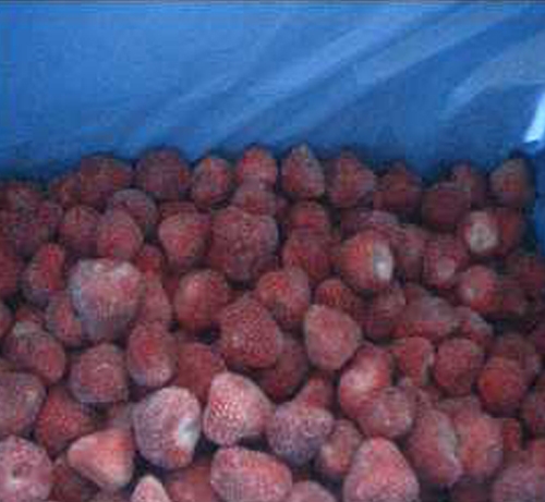 红树莓速冻冷库